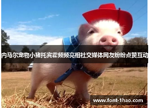 内马尔宠物小猪托宾霍频频亮相社交媒体网友纷纷点赞互动
