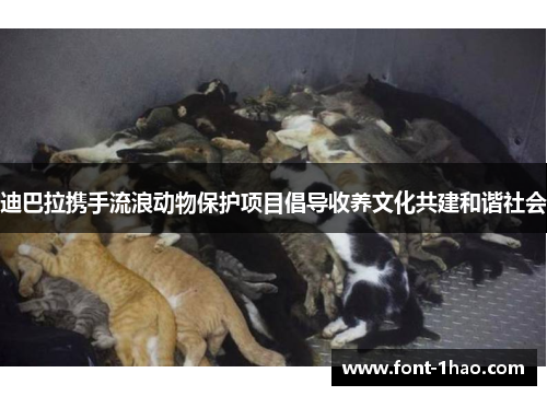 迪巴拉携手流浪动物保护项目倡导收养文化共建和谐社会
