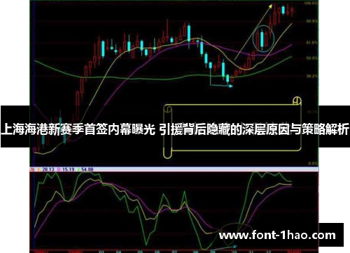 上海海港新赛季首签内幕曝光 引援背后隐藏的深层原因与策略解析