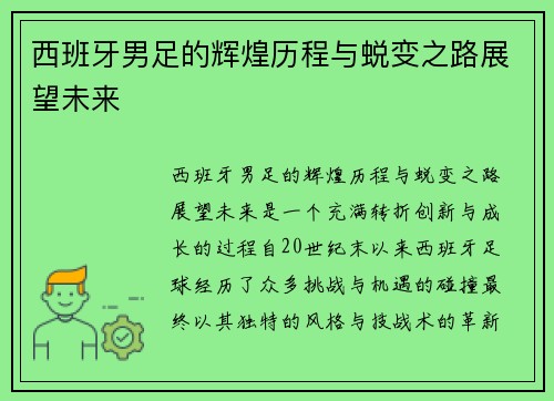 西班牙男足的辉煌历程与蜕变之路展望未来
